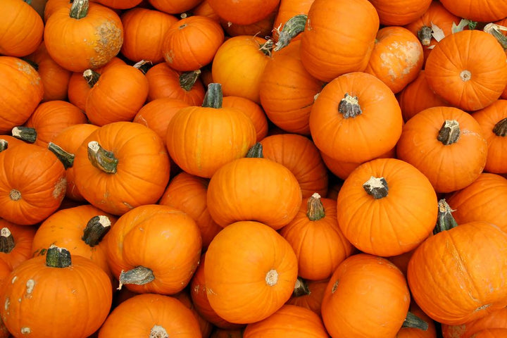 For the Love of Pumpkin–15 Recipes to Try This Fall