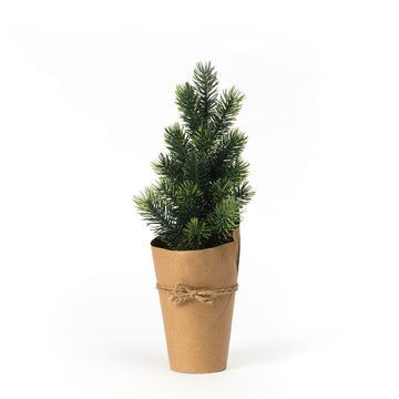Evergreen Tree in Kraft Paper Pot, Small
